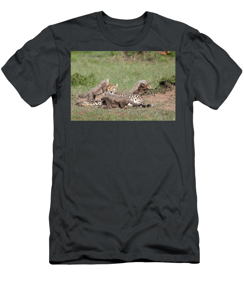1 Cheetah Cubs Playing Around Resting Mother Brood of Seven Yashpal Rathore Natureplcom T-Shirt
