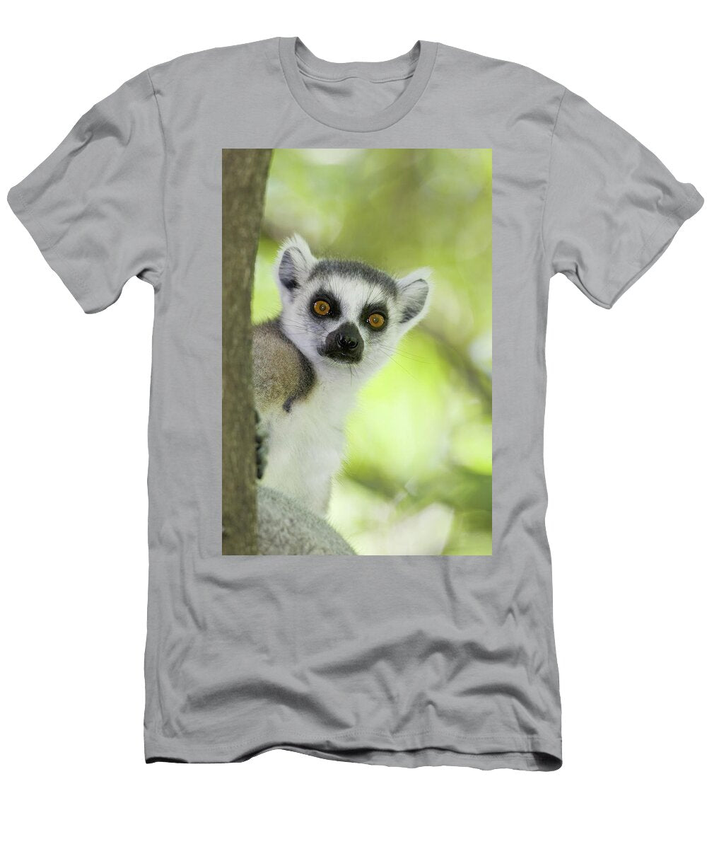 1 Close Up of a Ring Tailed Lemur Lemur Animal Images T-Shirt