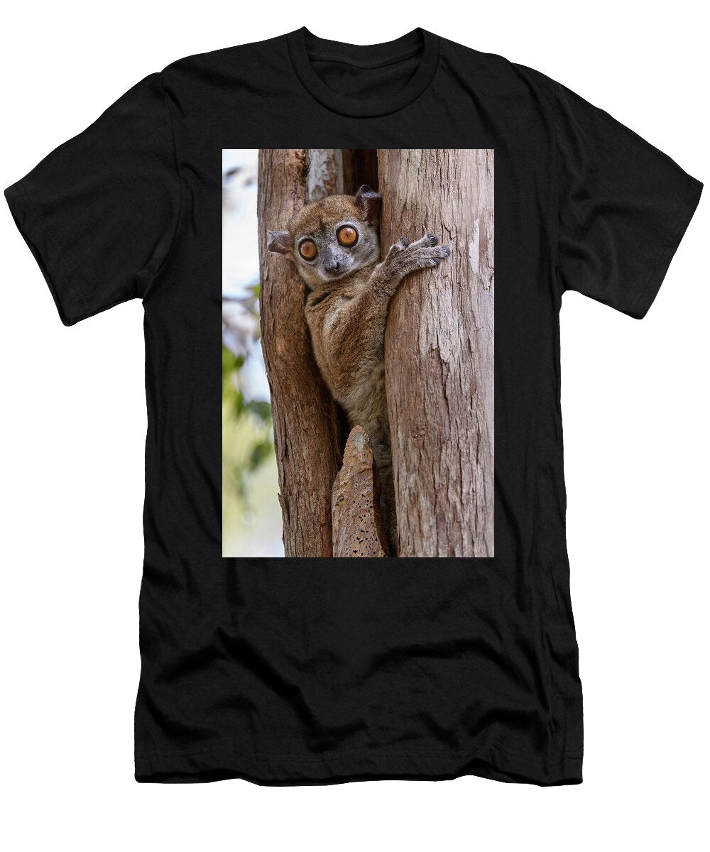 1 Daraina Sportive Lemur Daraina Forest Northern Nick Garbutt Natureplcom T-Shirt