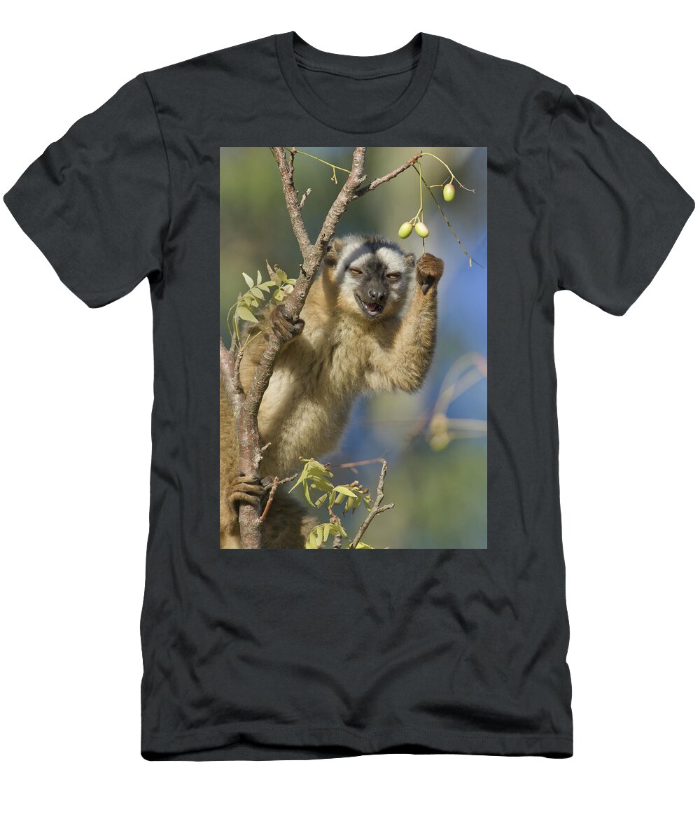 1 Red Fronted Lemur Eulemur Rufifrons Animal Images T-Shirt