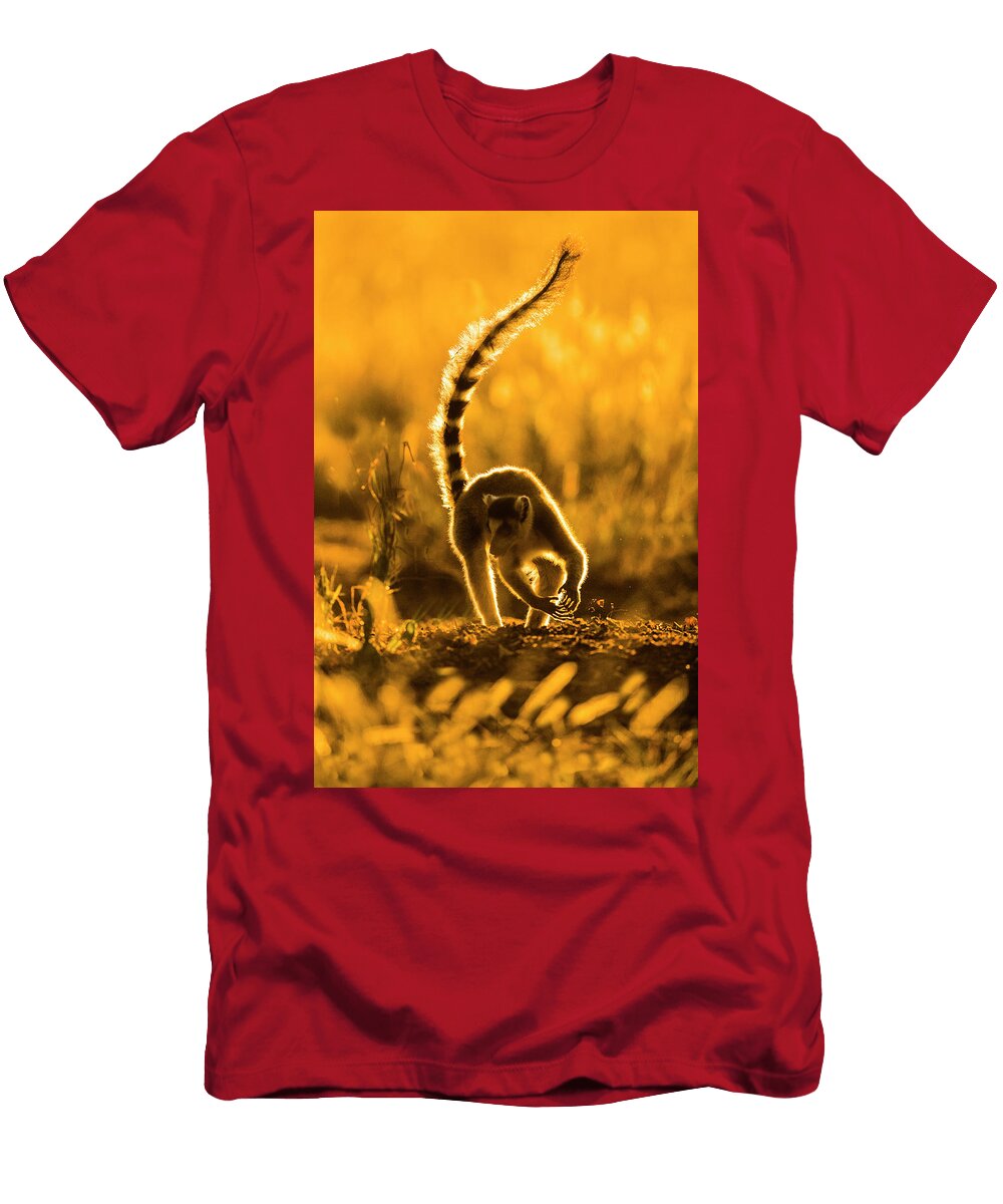 1 Ring Tailed Lemur Lemur Catta Panoramic Images T-Shirt