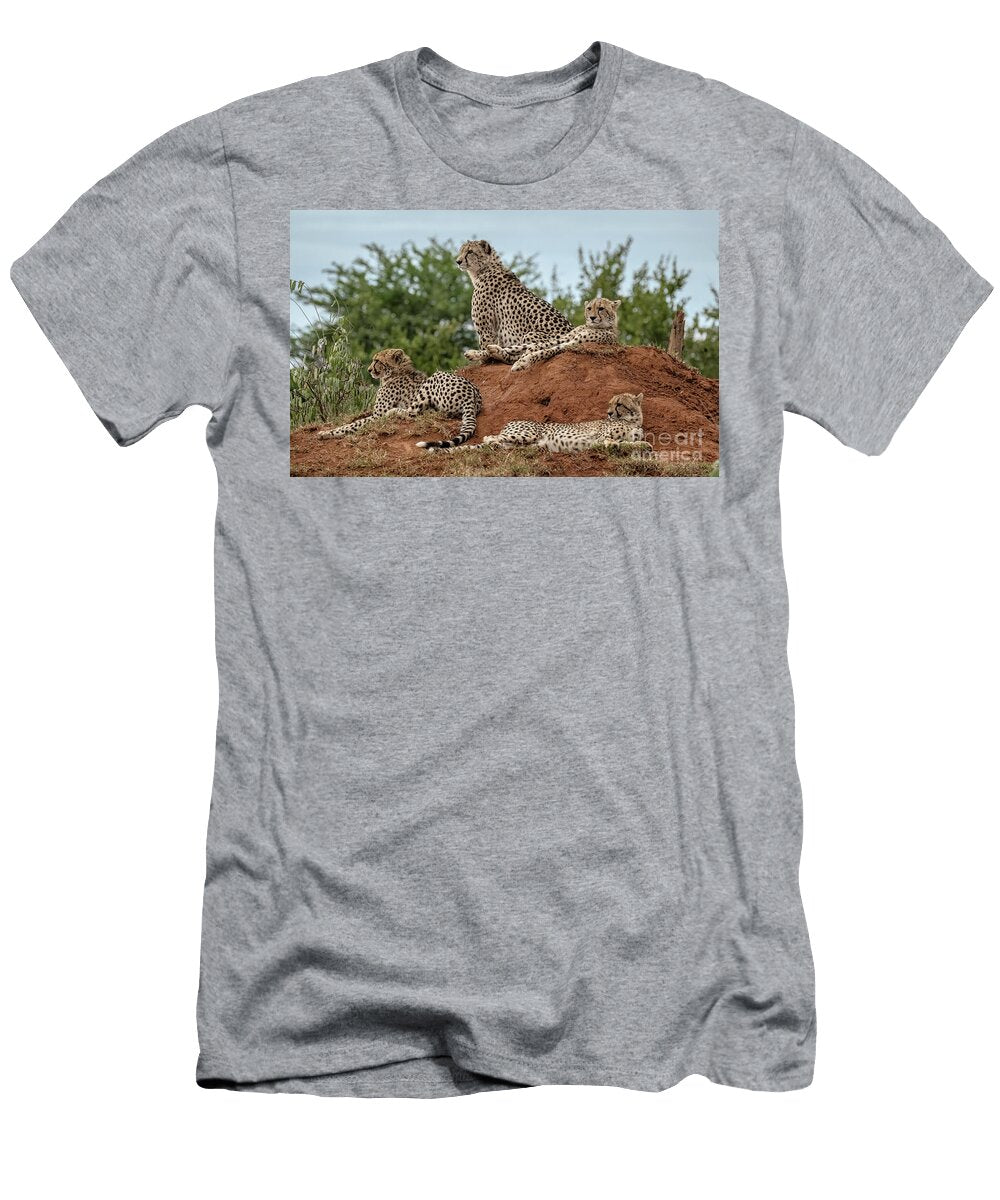 2 a Family Affair Sandra Bronstein T-Shirt