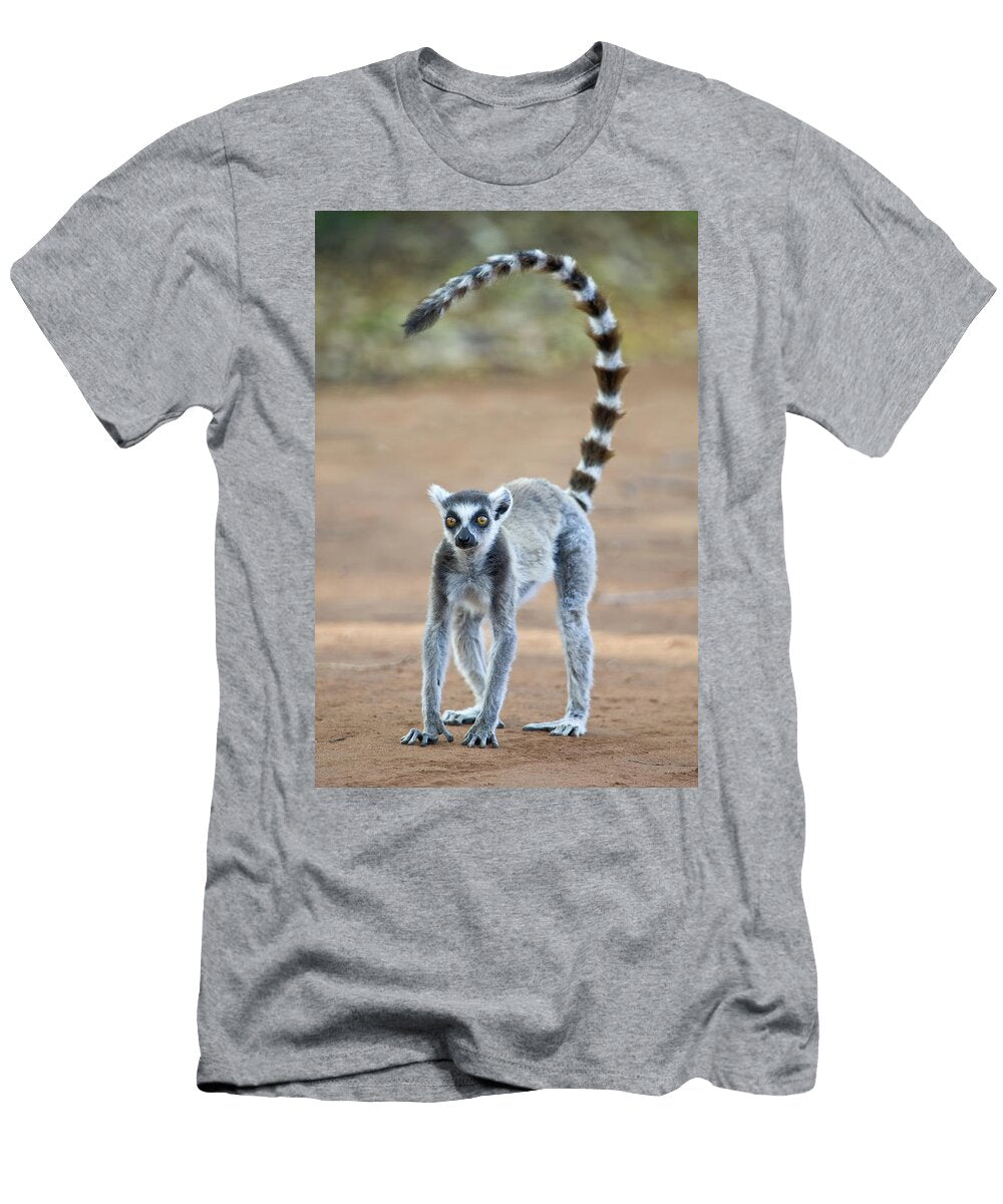 2 Close Up of a Ring Tailed Lemur Lemur Animal Images T-Shirt