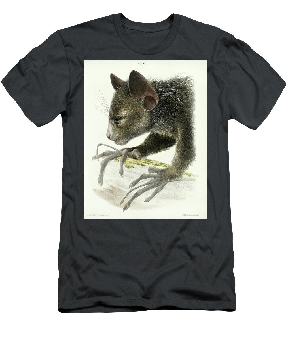 Aye Aye Richard Owen T-Shirt