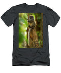 Bamboo Lemur Sitting on Tree Stump Andasibe Mantadia Sandesh Kadur Natureplcom T-Shirt