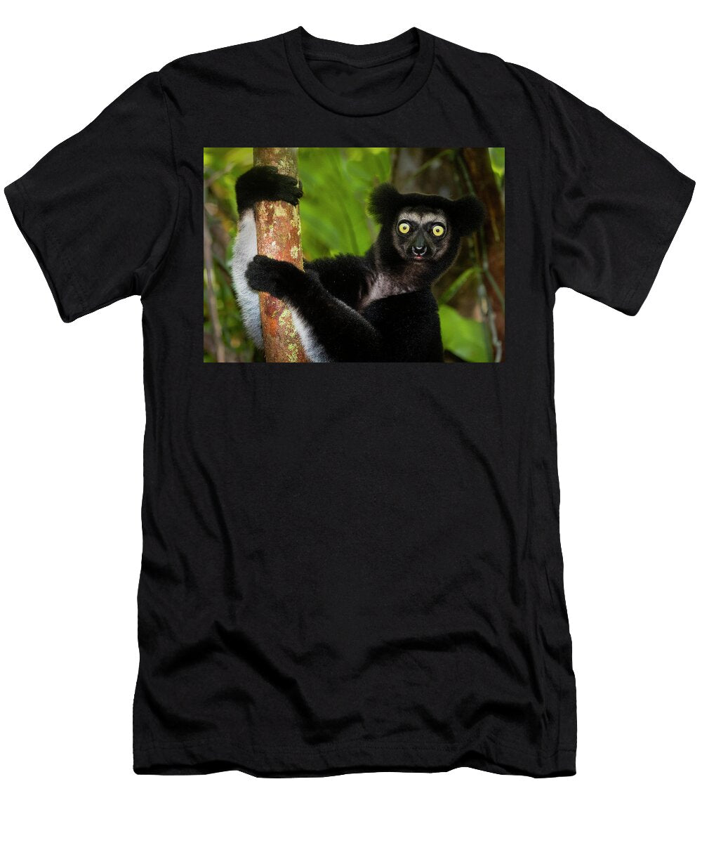 Black Indri Indri Indri Palmarium Panoramic Images T-Shirt