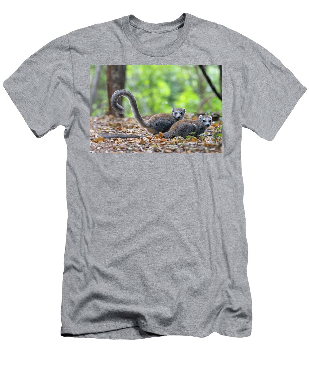 Crowned Lemur Two Females on Ground in Forest Ankarana Np Bernard Castelein Natureplcom T-Shirt