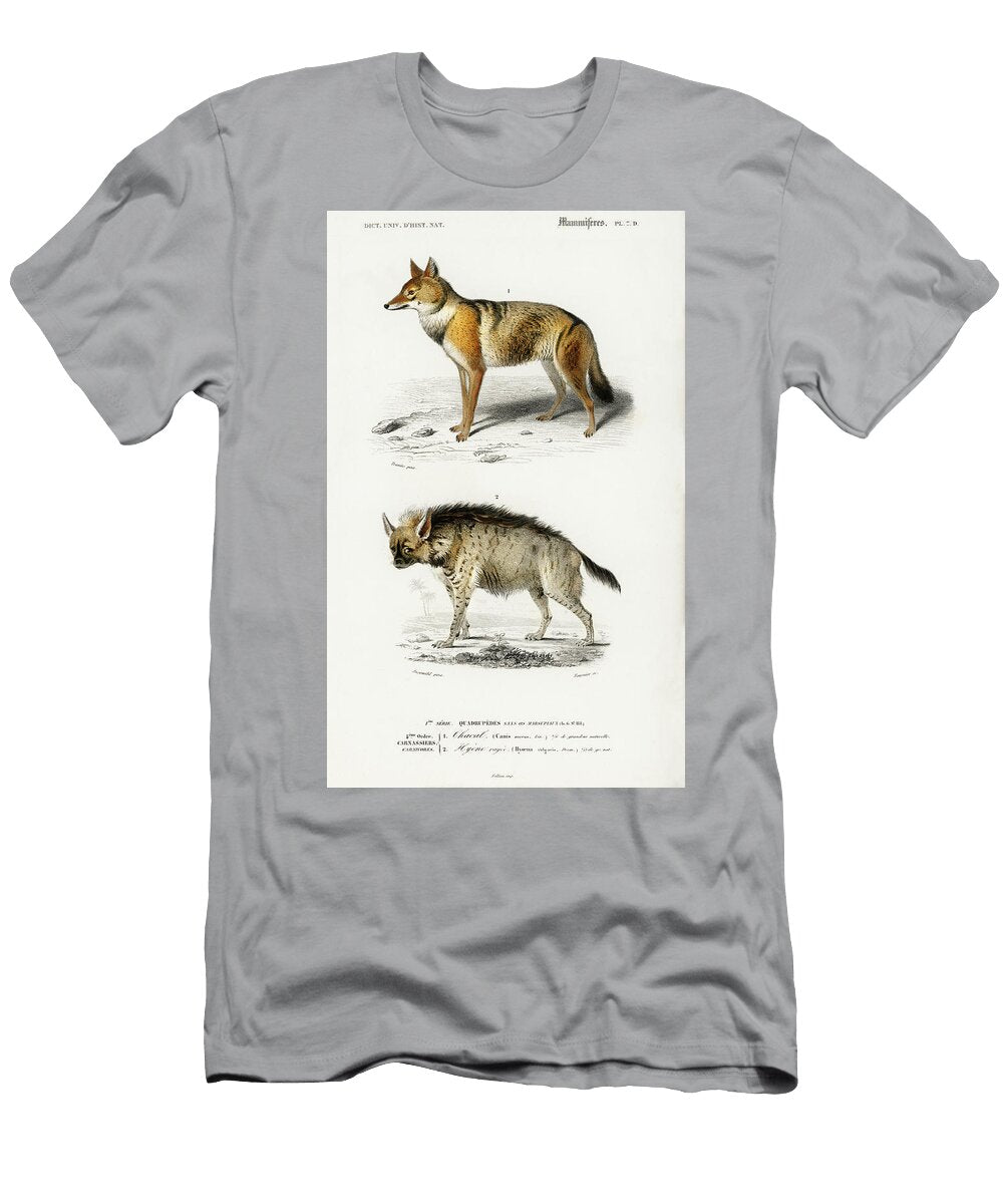 Golden Jackal and Striped Hyena Charles Dessalines D Orbigny T-Shirt