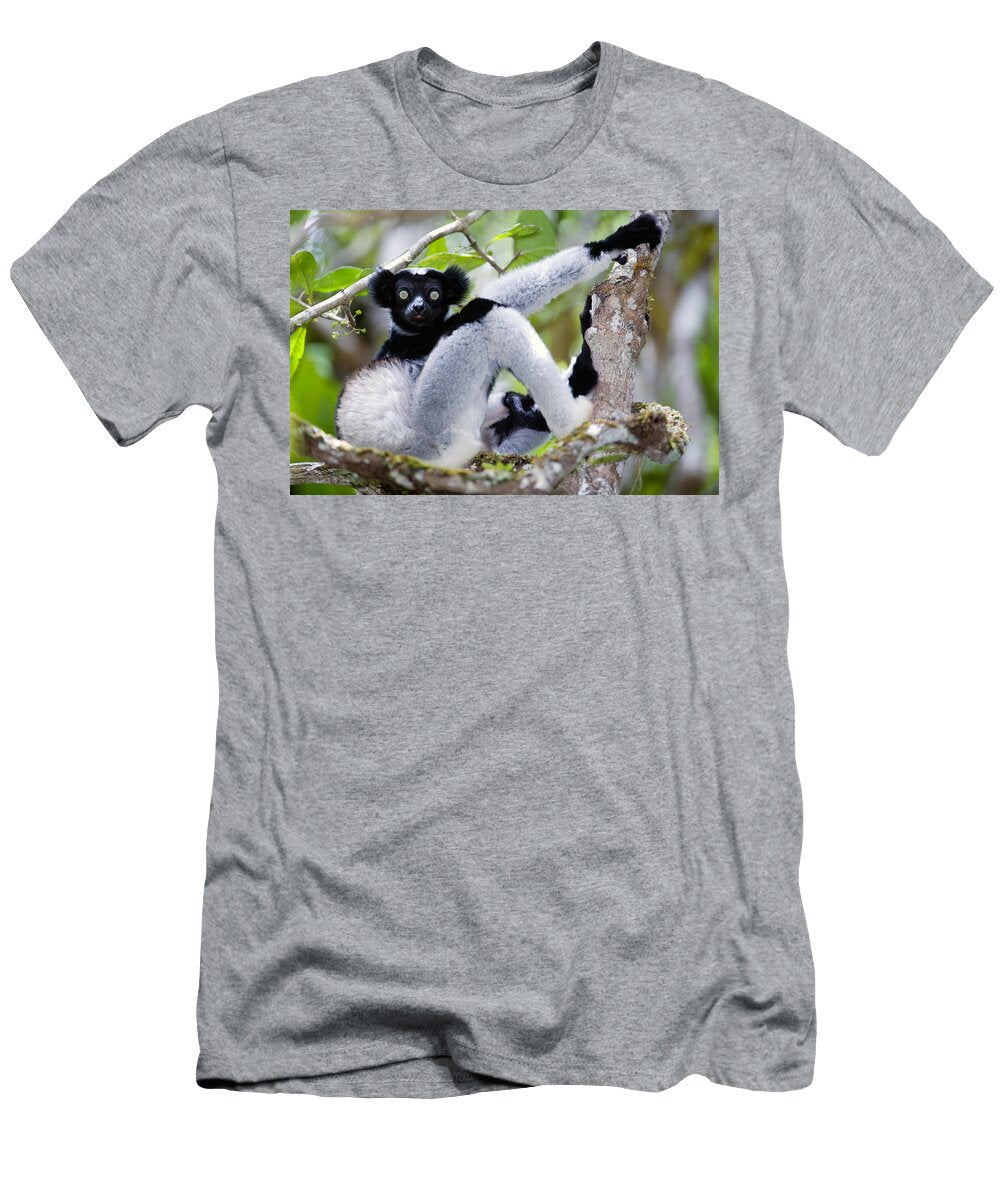 Indri Lemur Indri Indri Sitting Panoramic Images T-Shirt