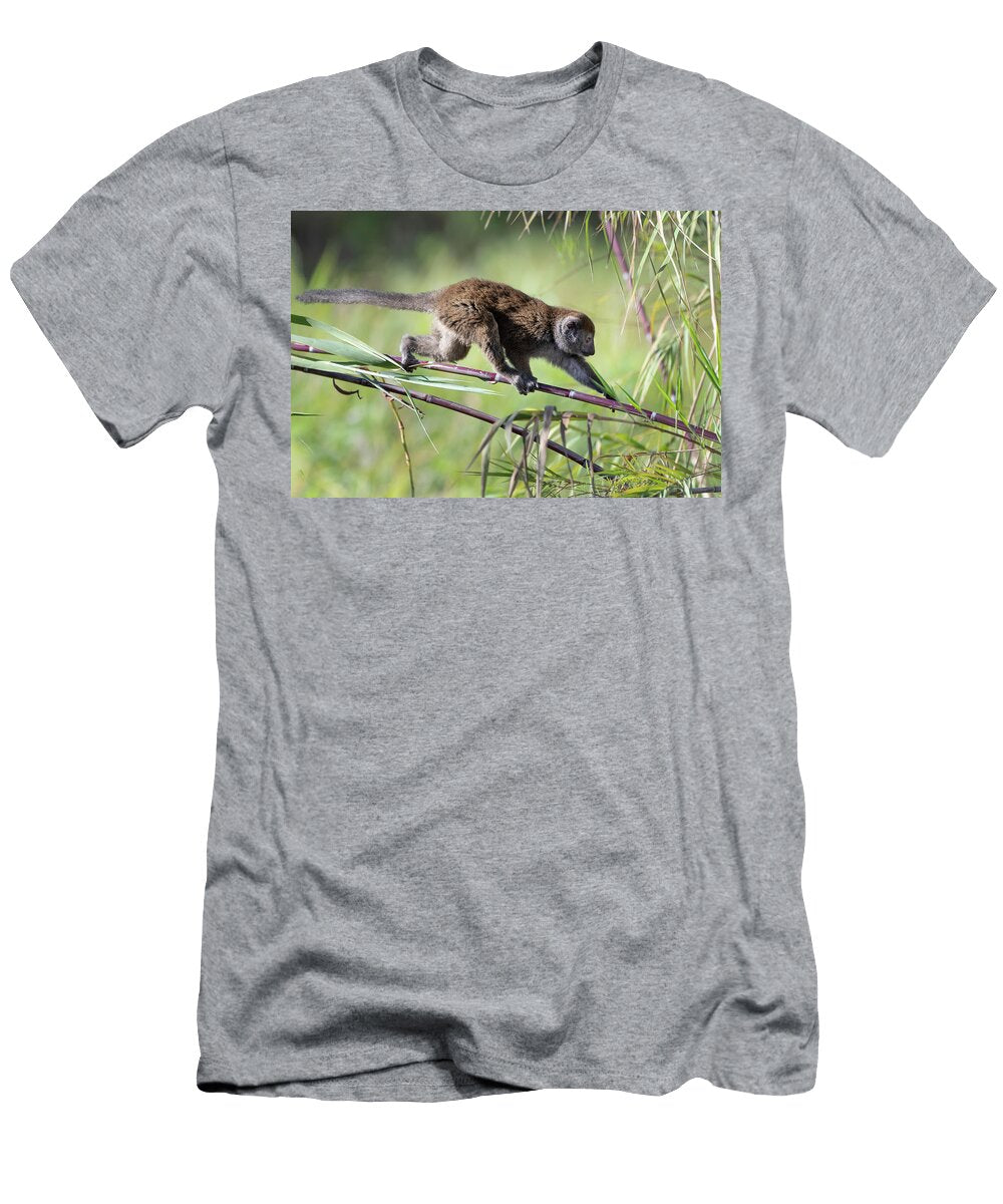 Lac Alaotra Bamboo Lemur Walking on Bamboo Lake Alaotra Bernard Castelein Natureplcom T-Shirt