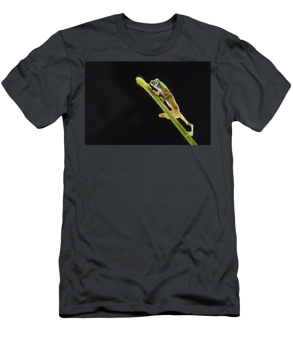 Lemur Leaf Frog Marianne Brouwer T-Shirt