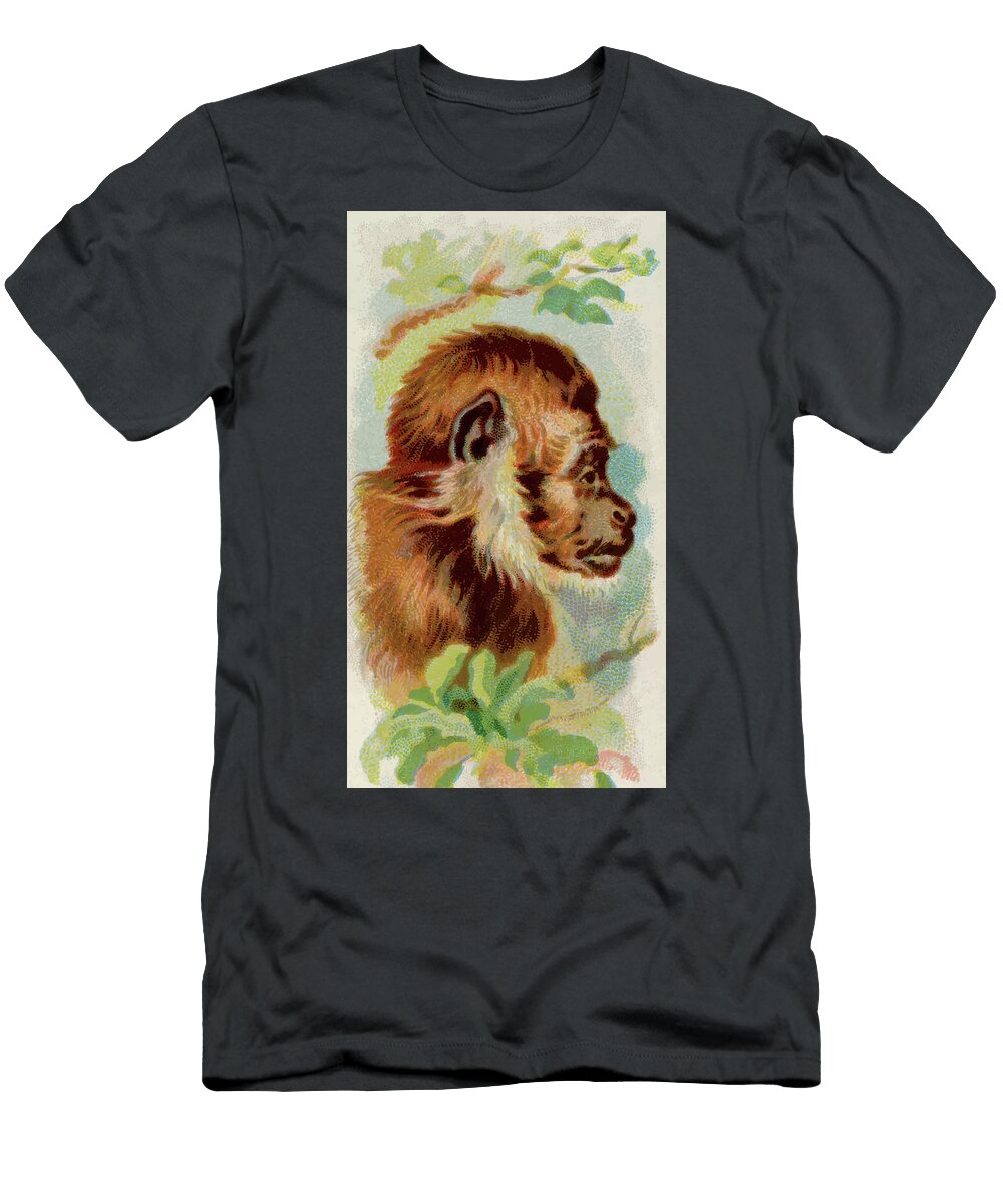 Monkey Vintage Animal Illustration Vintage Animal Illustrations T-Shirt