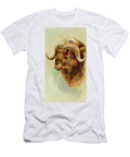 Musk Ox Vintage Animal Illustration Vintage Animal Illustrations T-Shirt