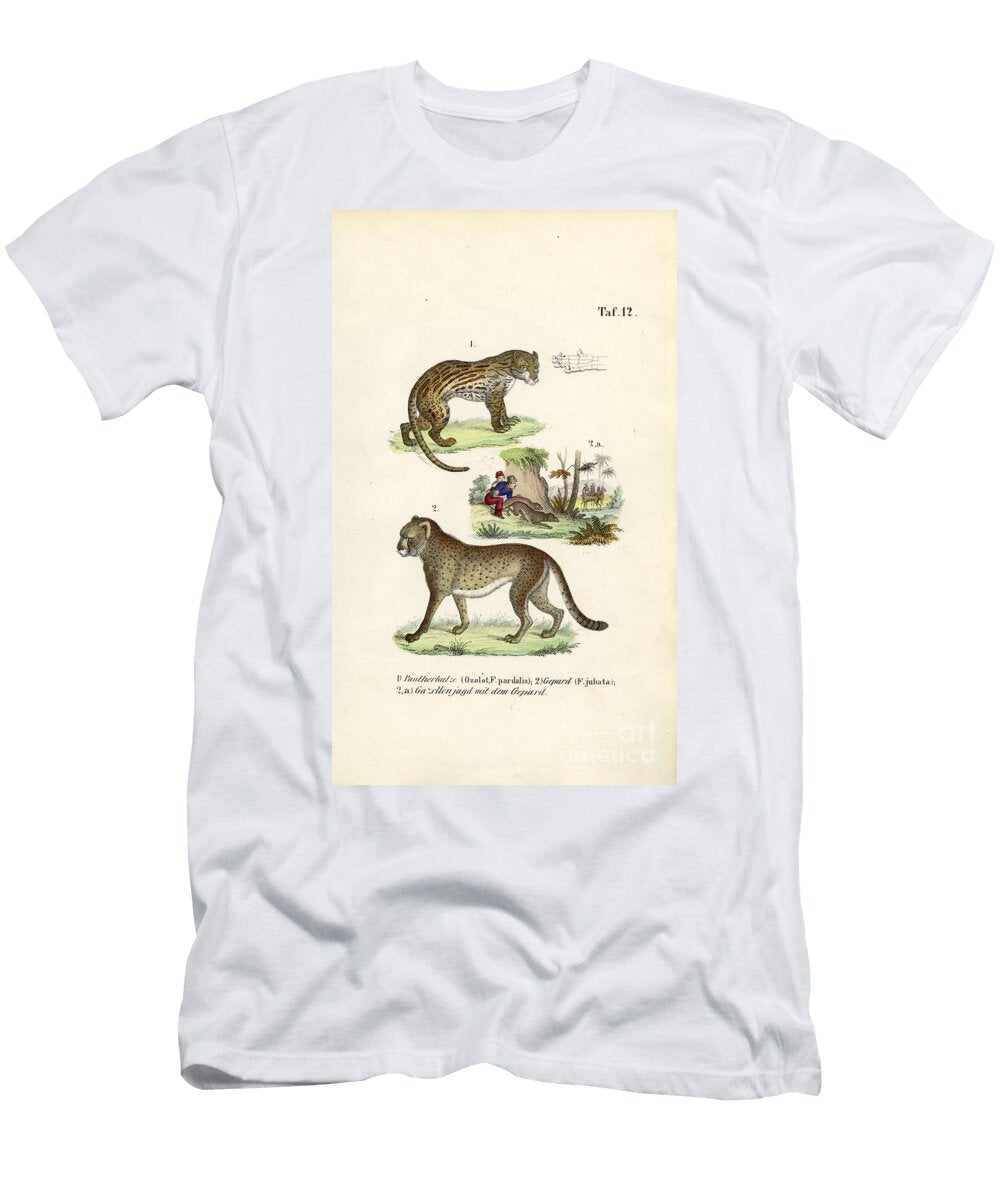Ocelot Cheetah and Cheetah Hunting 1850 Lithography J W Tenhaeff T-Shirt