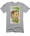 Opossum Vintage Animal Illustration Vintage Animal Illustrations T-Shirt