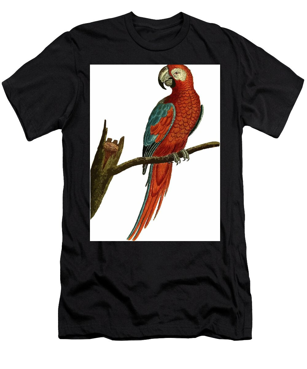 Parrot Vintage Animal Illustration Vintage Animal Illustrations T-Shirt