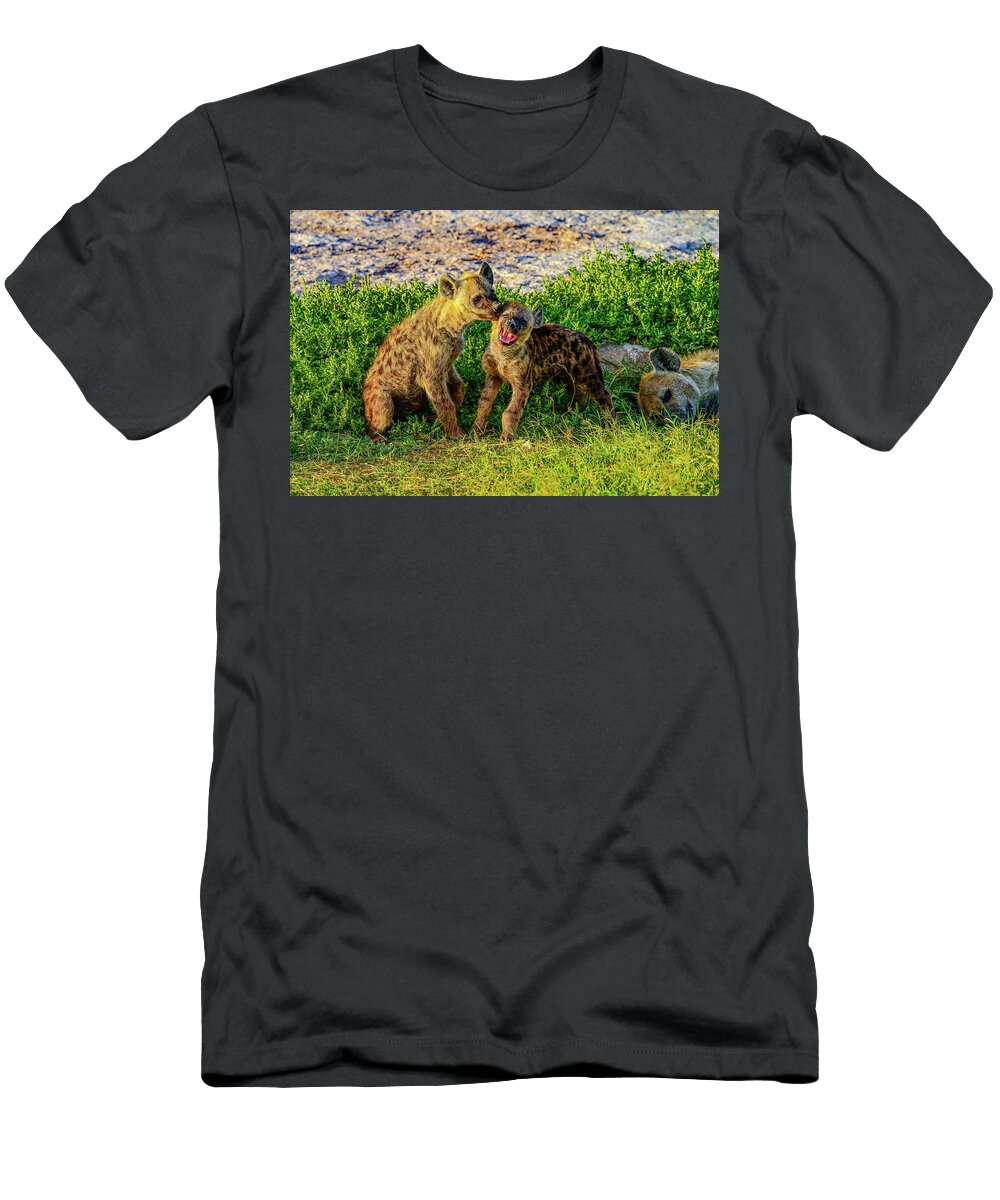 Playful Hyenas on a Sunny Day Next Frame Gallery T-Shirt