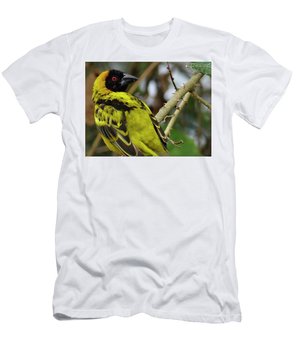 Red Eye Flight Exploramum Exploramum T-Shirt