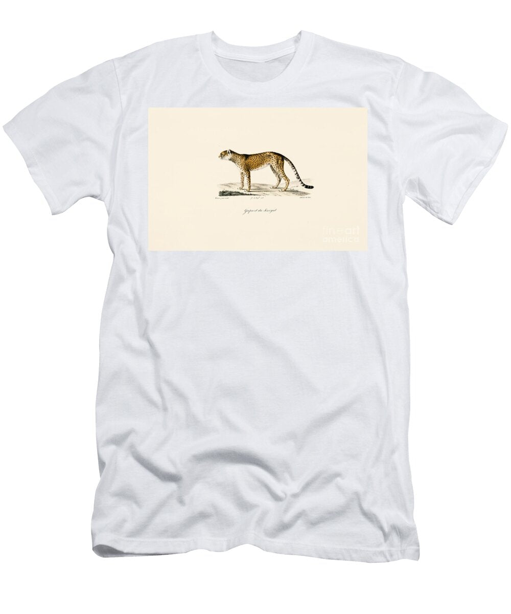 Senegal Cheetah 1824 Hand Coloured Litho Jacques Christophe Werner T-Shirt