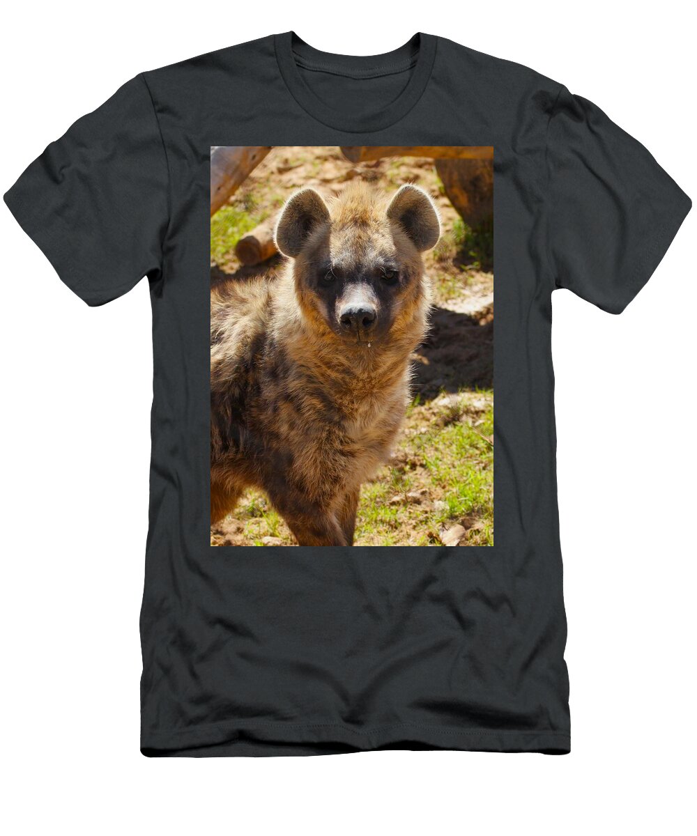 Spotted Hyena in the Sun Brittney Powers T-Shirt