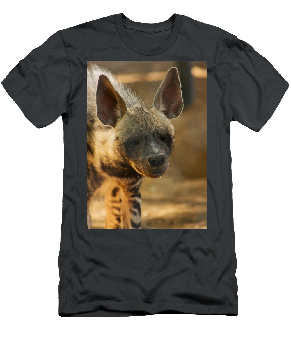 Thoughtful Striped Hyena Brittney Powers T-Shirt
