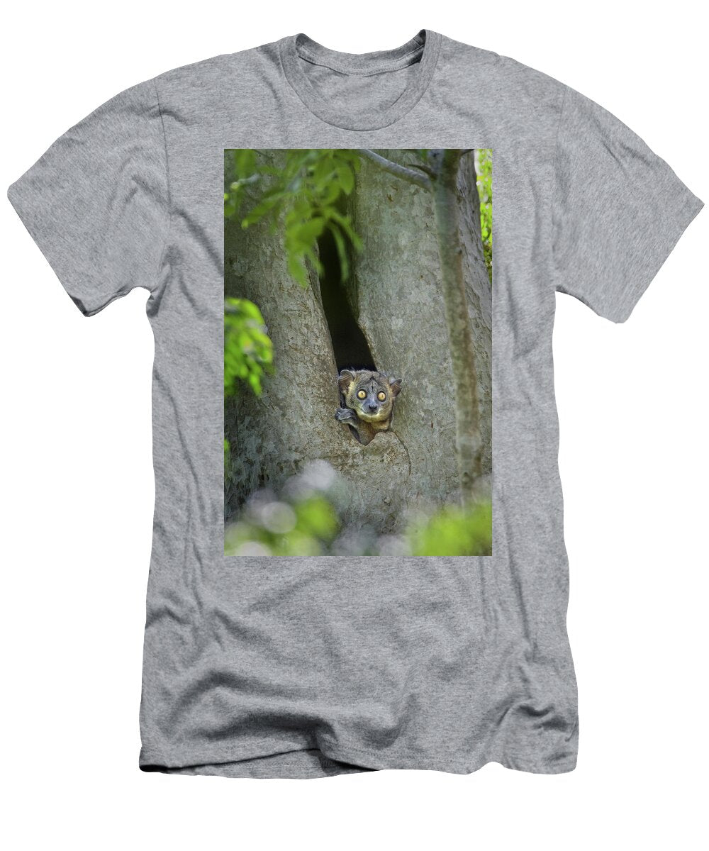 White Footed Sportive Lemur Lepilemur Animal Images T-Shirt