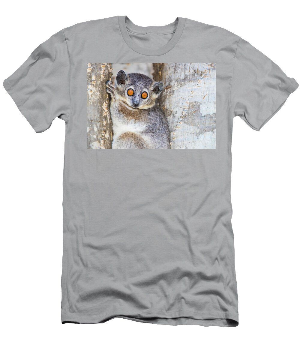 White Footed Sportive Lemur Lepilemur Panoramic Images T-Shirt